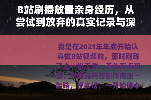 B站刷播放量亲身经历，从尝试到放弃的真实记录与深度思考