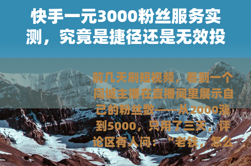 快手一元3000粉丝服务实测，究竟是捷径还是无效投入？