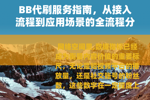 BB代刷服务指南，从接入流程到应用场景的全流程分析