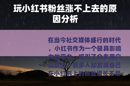 玩小红书粉丝涨不上去的原因分析