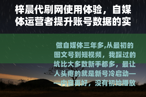 梓晨代刷网使用体验，自媒体运营者提升账号数据的实用工具分析