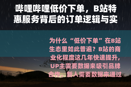 哔哩哔哩低价下单，B站特惠服务背后的订单逻辑与实用经验分享