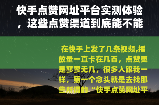 快手点赞网址平台实测体验，这些点赞渠道到底能不能帮你上热门？