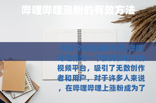 哔哩哔哩涨粉的有效方法