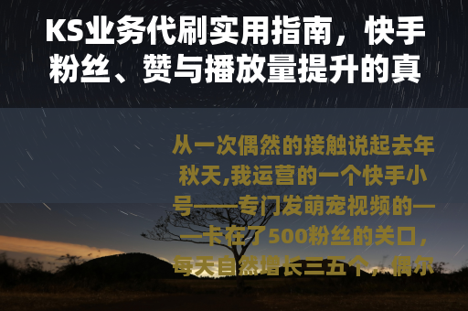 KS业务代刷实用指南，快手粉丝、赞与播放量提升的真实体验
