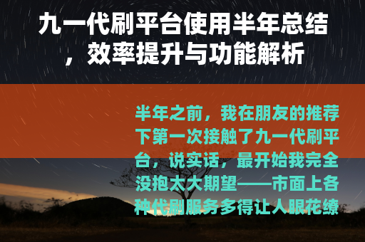 九一代刷平台使用半年总结，效率提升与功能解析