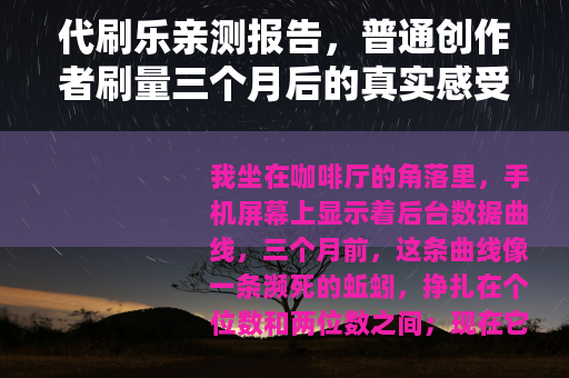代刷乐亲测报告，普通创作者刷量三个月后的真实感受与抉择