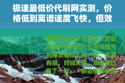 极速最低价代刷网实测，价格低到离谱速度飞快，但效果到底怎样？