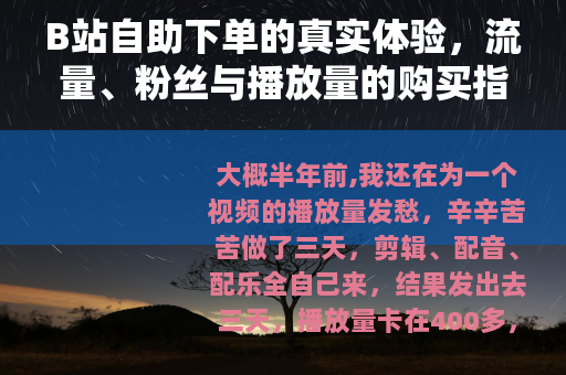 B站自助下单的真实体验，流量、粉丝与播放量的购买指南