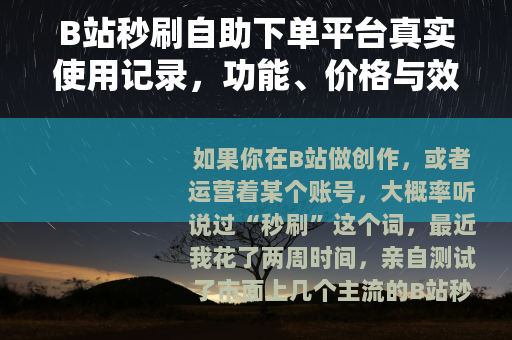 B站秒刷自助下单平台真实使用记录，功能、价格与效果全解析