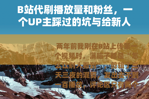 B站代刷播放量和粉丝,一个UP主踩过的坑与给新人的建议 B站代刷播放量和粉丝,一个UP主踩过的坑与给新人的建议