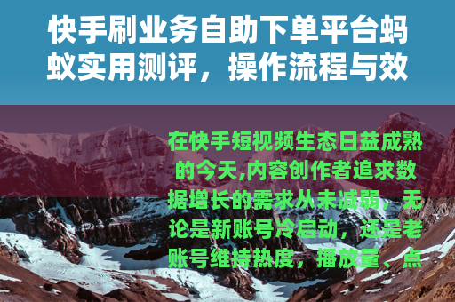快手刷业务自助下单平台蚂蚁实用测评，操作流程与效果全解析