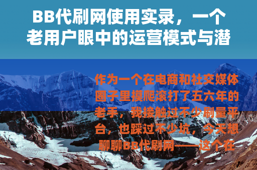 BB代刷网使用实录，一个老用户眼中的运营模式与潜在风险