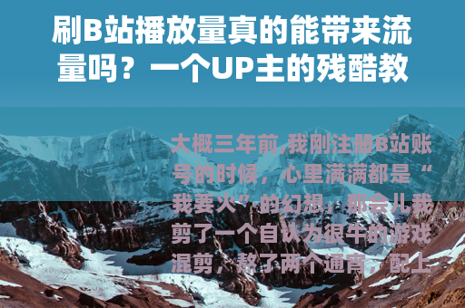 刷B站播放量真的能带来流量吗？一个UP主的残酷教训