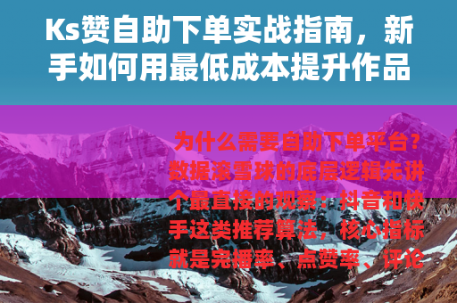 Ks赞自助下单实战指南，新手如何用最低成本提升作品热度
