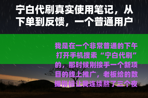 宁白代刷真实使用笔记，从下单到反馈，一个普通用户的完整记录