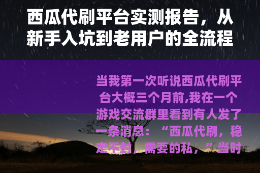 西瓜代刷平台实测报告，从新手入坑到老用户的全流程记录