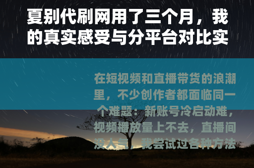 夏别代刷网用了三个月，我的真实感受与分平台对比实测