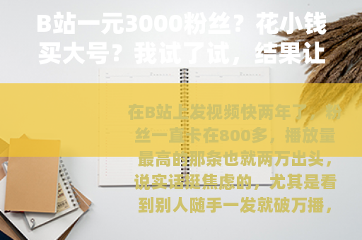 B站一元3000粉丝？花小钱买大号？我试了试，结果让我有点意外