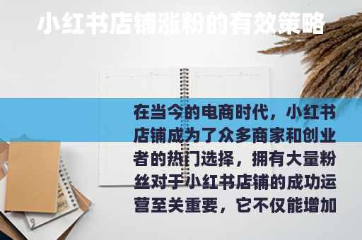 小红书店铺涨粉的有效策略