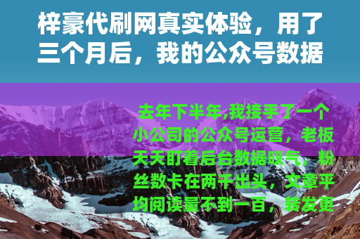 梓豪代刷网真实体验，用了三个月后，我的公众号数据终于有了起色