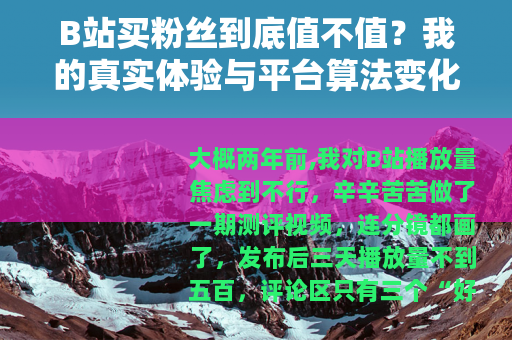 B站买粉丝到底值不值？我的真实体验与平台算法变化后的现状