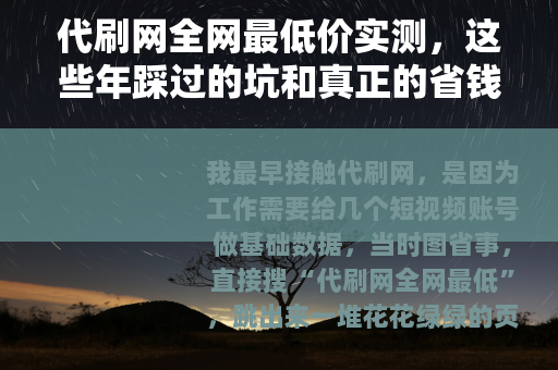 代刷网全网最低价实测，这些年踩过的坑和真正的省钱方法（27字）
