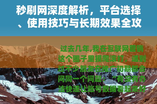 秒刷网深度解析，平台选择、使用技巧与长期效果全攻略