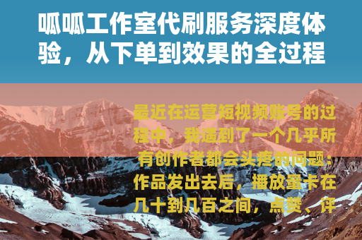 呱呱工作室代刷服务深度体验，从下单到效果的全过程记录与思考