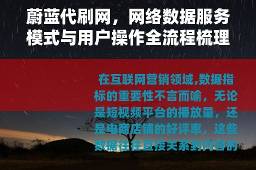 蔚蓝代刷网，网络数据服务模式与用户操作全流程梳理