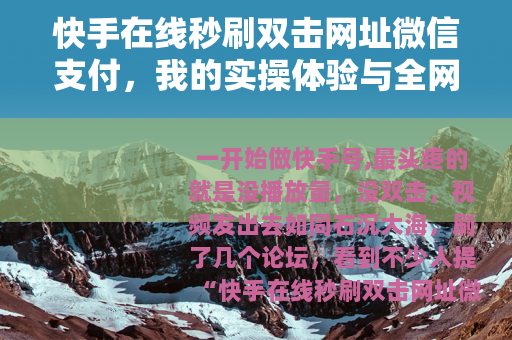 快手在线秒刷双击网址微信支付，我的实操体验与全网实测对比