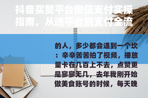 抖音买赞平台微信支付实操指南，从选平台到支付全流程