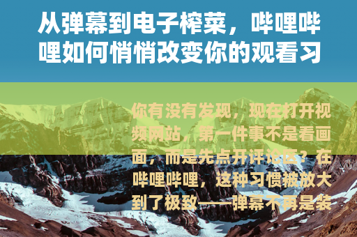 从弹幕到电子榨菜，哔哩哔哩如何悄悄改变你的观看习惯