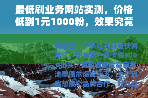 最低刷业务网站实测，价格低到1元1000粉，效果究竟如何？