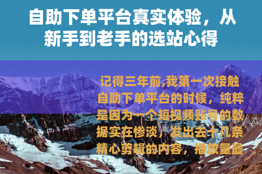 自助下单平台真实体验，从新手到老手的选站心得
