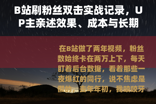 B站刷粉丝双击实战记录，UP主亲述效果、成本与长期影响