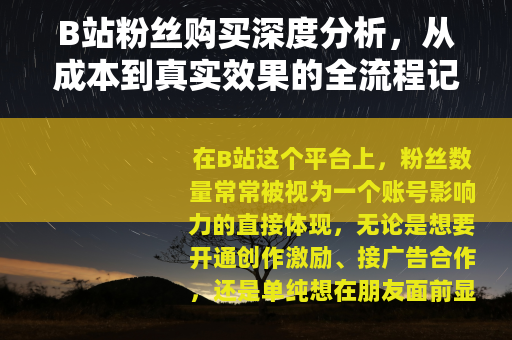 B站粉丝购买深度分析，从成本到真实效果的全流程记录