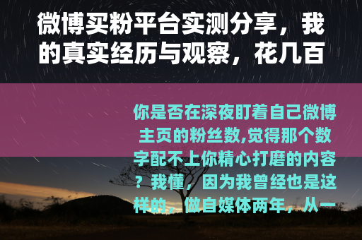 微博买粉平台实测分享，我的真实经历与观察，花几百块能换来什么？
