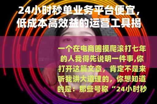 24小时秒单业务平台便宜，低成本高效益的运营工具揭秘