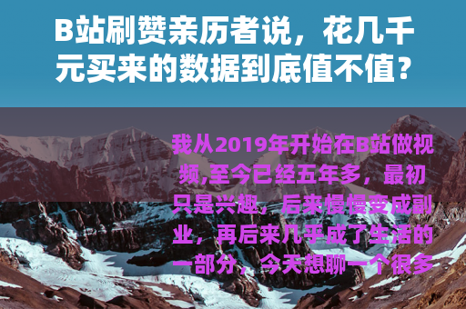 B站刷赞亲历者说，花几千元买来的数据到底值不值？