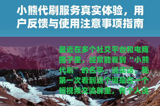 小熊代刷服务真实体验，用户反馈与使用注意事项指南