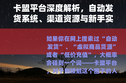 卡盟平台深度解析，自动发货系统、渠道资源与新手实战指南
