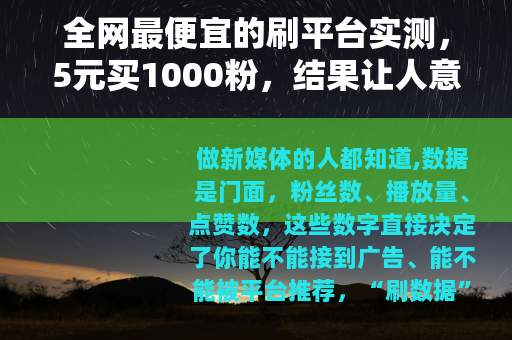 全网最便宜的刷平台实测，5元买1000粉，结果让人意外