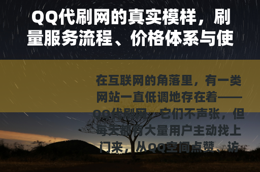 QQ代刷网的真实模样，刷量服务流程、价格体系与使用心得
