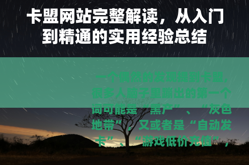 卡盟网站完整解读，从入门到精通的实用经验总结
