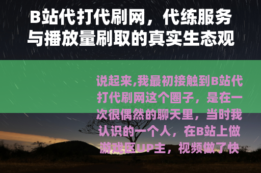 B站代打代刷网，代练服务与播放量刷取的真实生态观察（26字）