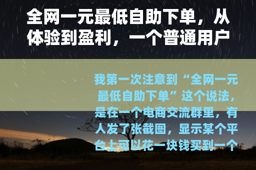 全网一元最低自助下单，从体验到盈利，一个普通用户的完整记录