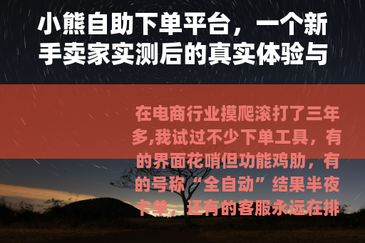 小熊自助下单平台，一个新手卖家实测后的真实体验与操作心得