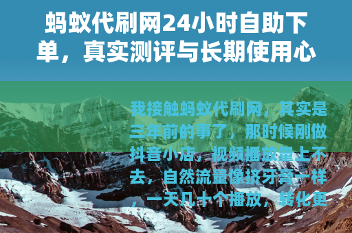 蚂蚁代刷网24小时自助下单，真实测评与长期使用心得全解析