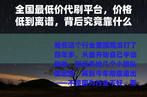 全国最低价代刷平台，价格低到离谱，背后究竟靠什么？